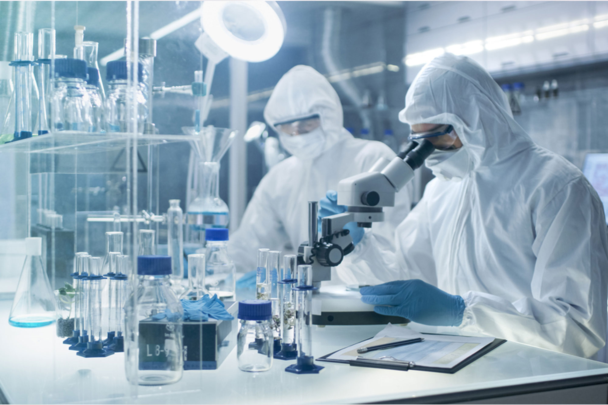 类固醇激素检测报告